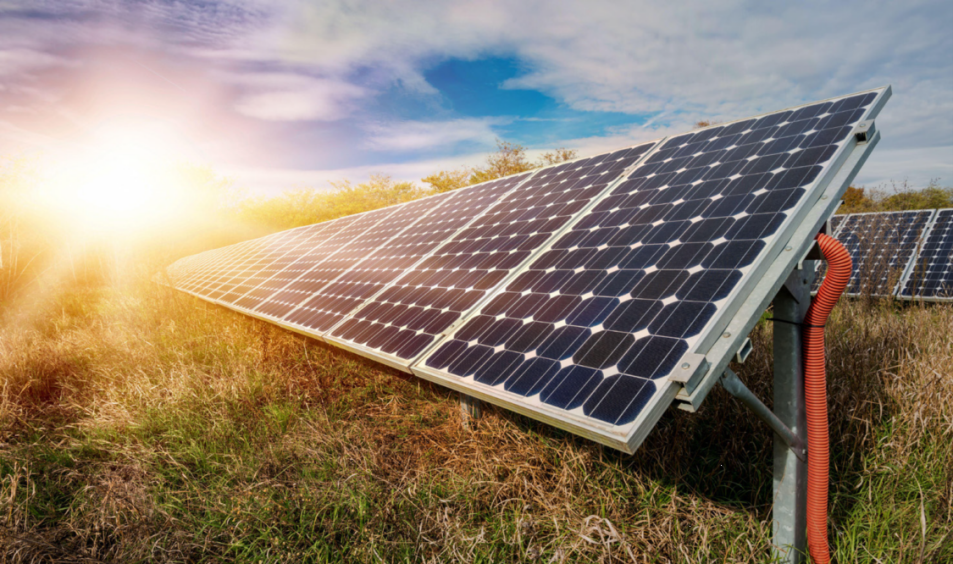 绿色“双碳”服务